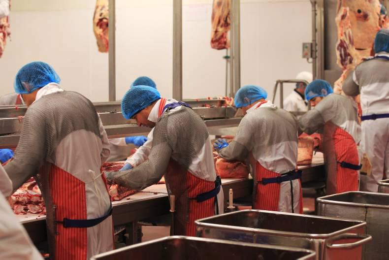 Dept tests new software for mechanical graders