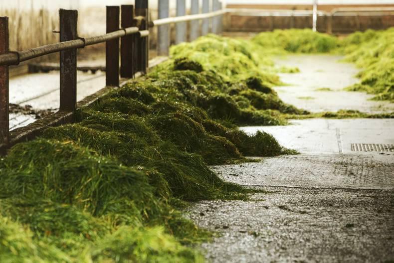 Man in his mid-50s found dead on farm in Co Clare