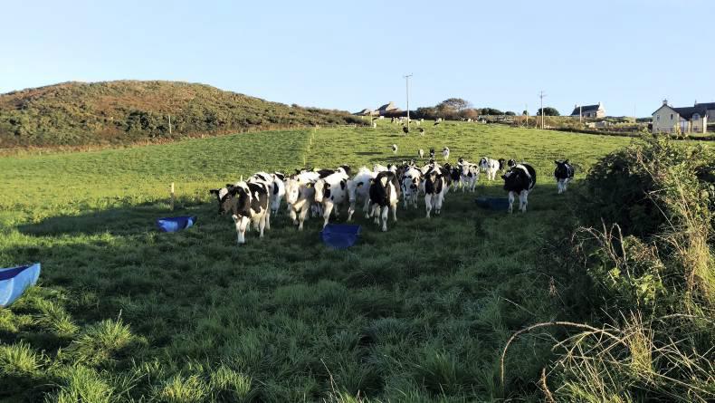 Farmer writes: Looking at the wider picture