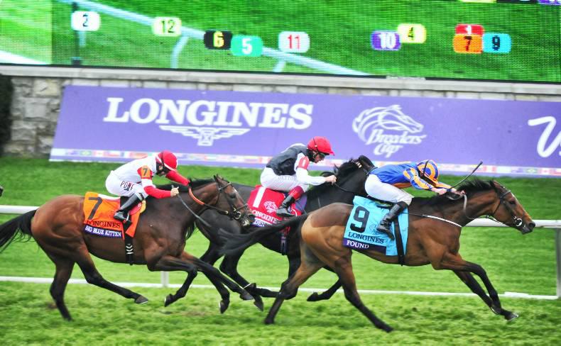 Double Breeders Cup joy for Ballydoyle