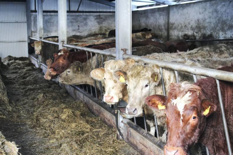 Rules and regulations for a B&B agreement