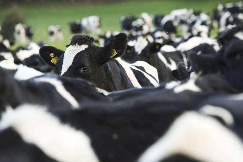 UK dairy forum told industry must 'stand up and fight'