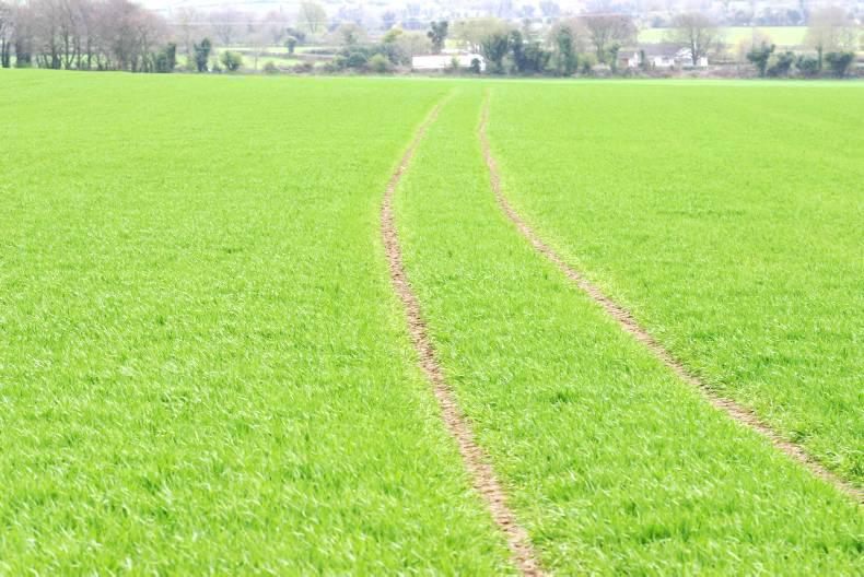 Cereal herbicide availability tightens