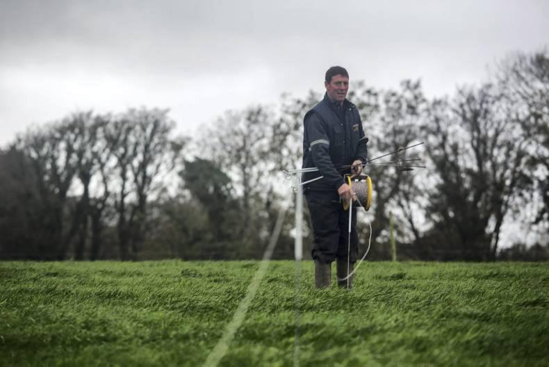 No land is no barrier to milking cows   