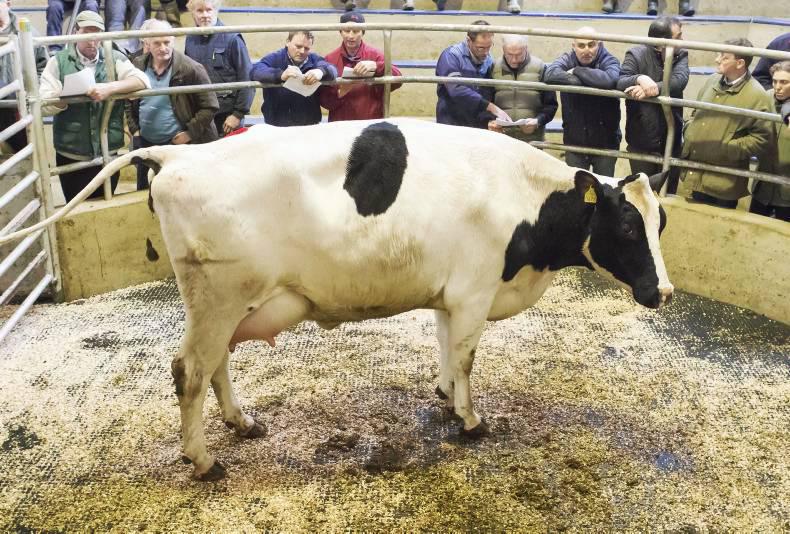Heavy farms have closed up on grazing, but dry farms still sneaking grass