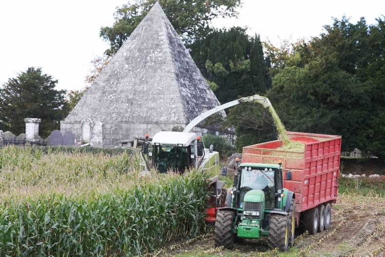 Thursday grain market update: Slight rebound in futures market