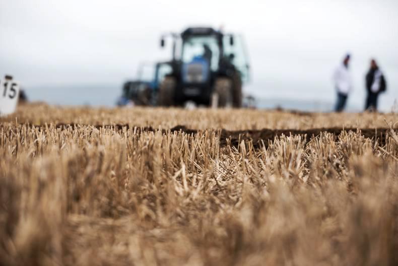 Teagasc gets budget increase for new jobs