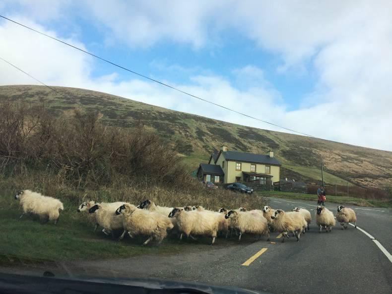 Advance payments rise to 114,000 as balance becomes due on 1 December