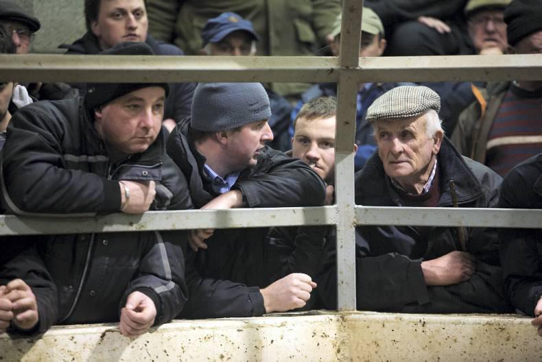 Co-funding for mart boards 'under consideration'