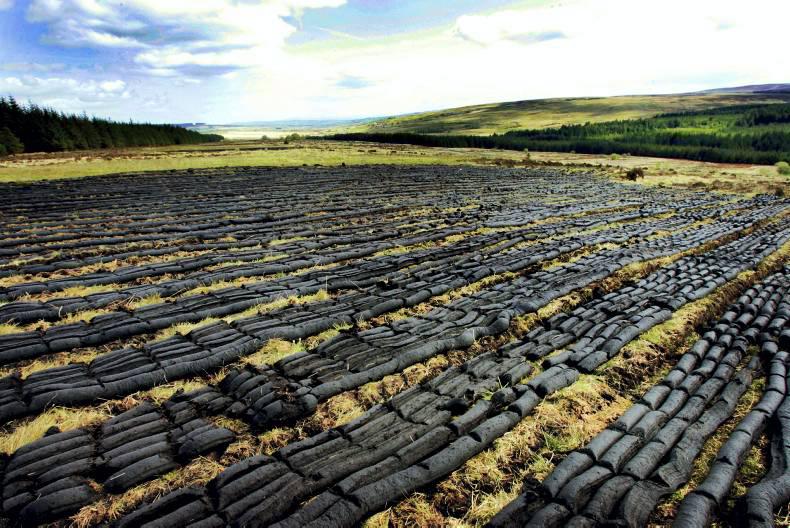€5.5m designated to restore Ireland's active raised bogs