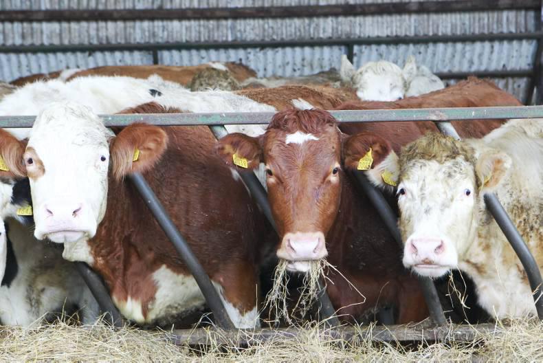 Improved breeding performance in 2015