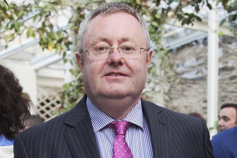 No recovery in dairy markets likely until second half of 2016 - Ornua