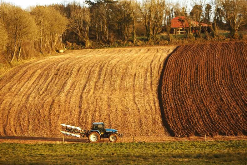 Two thirds of farmers now in long-term leases