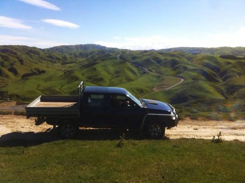 New Zealand milk supply down in October