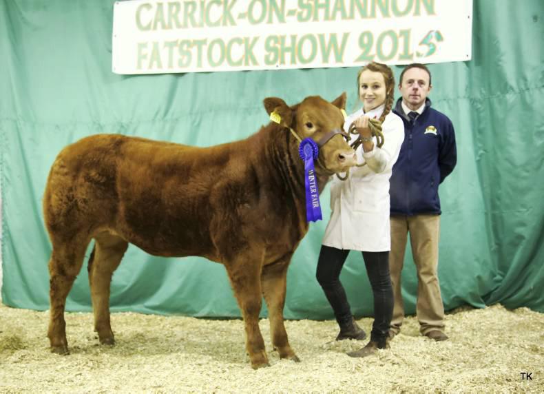 Weanling heifers sell to €4,000 at Carrick fatstock sale