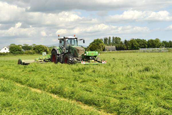 Short term negative but long term positive trend for dairy markets