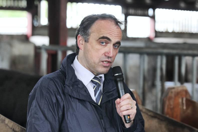 Contenders line up for Munster AI gig