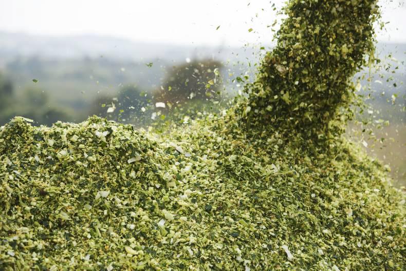 Tuesday grain market update: Rally in euro softens market slightly