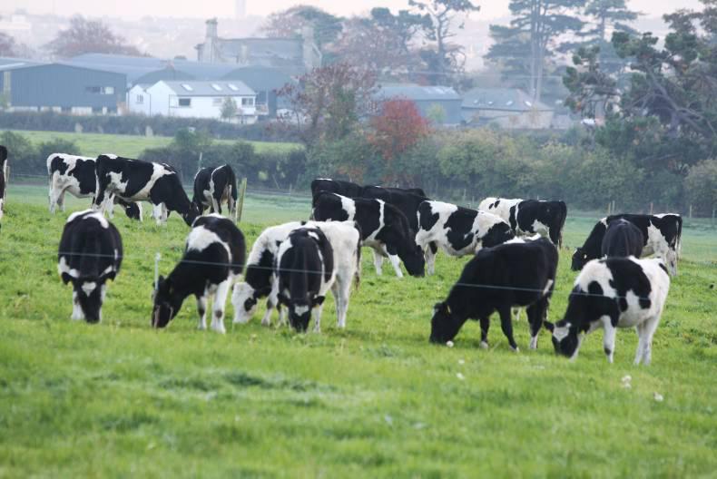 Irish dairy technology company unveils new microbiology testing system