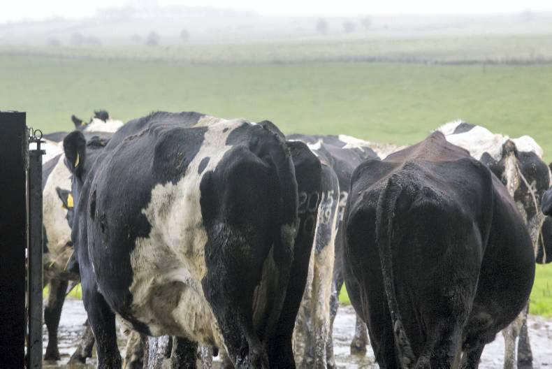 Irish Farmers Journal breakfast news: Tuesday 22 December 