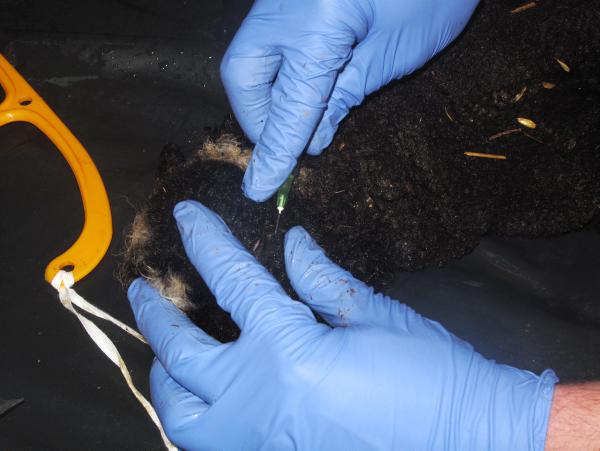Big drop in annual herd test cost