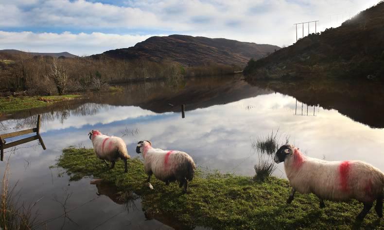 River Shannon remains on 'severe flooding' alert
