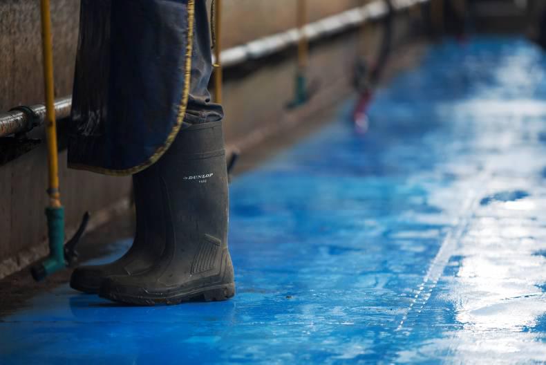 Farm safety: Milking dangers high on agenda