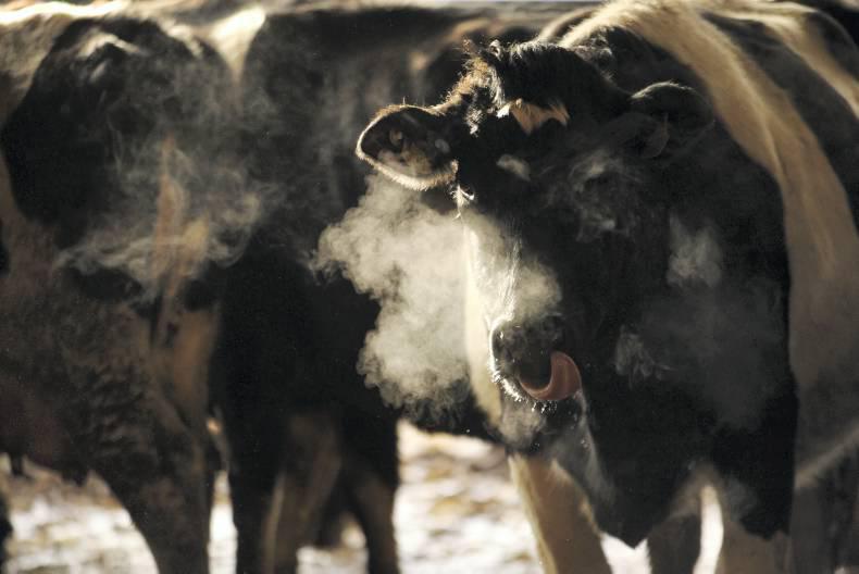 Agricultural jobs in Ireland     