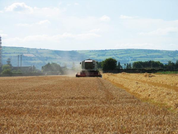 Struggling to pay off merchant credit 