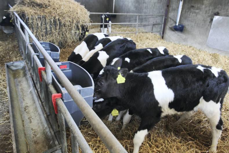 Early performance central to subsequent productivity