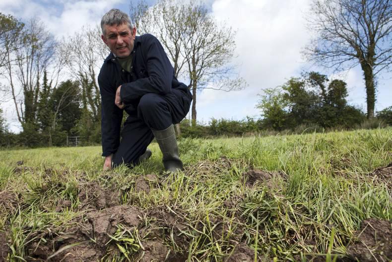 No nominations at Clare IFA executive meeting