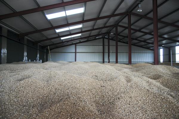Friday grain market update: grain markets continue to retreat 