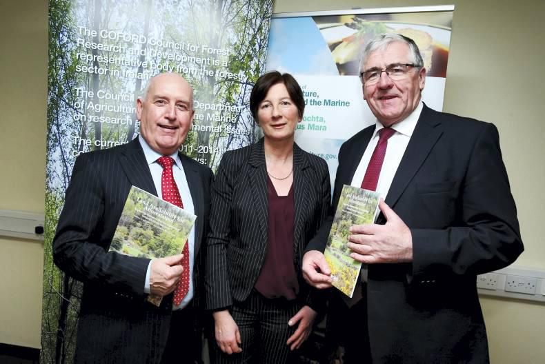 Minister Hayes launches report that  aims to plant 510,000ha by 2050
