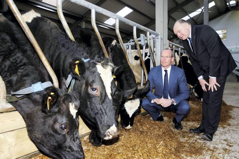 Agri news quiz: IFA, BVD and calf births   