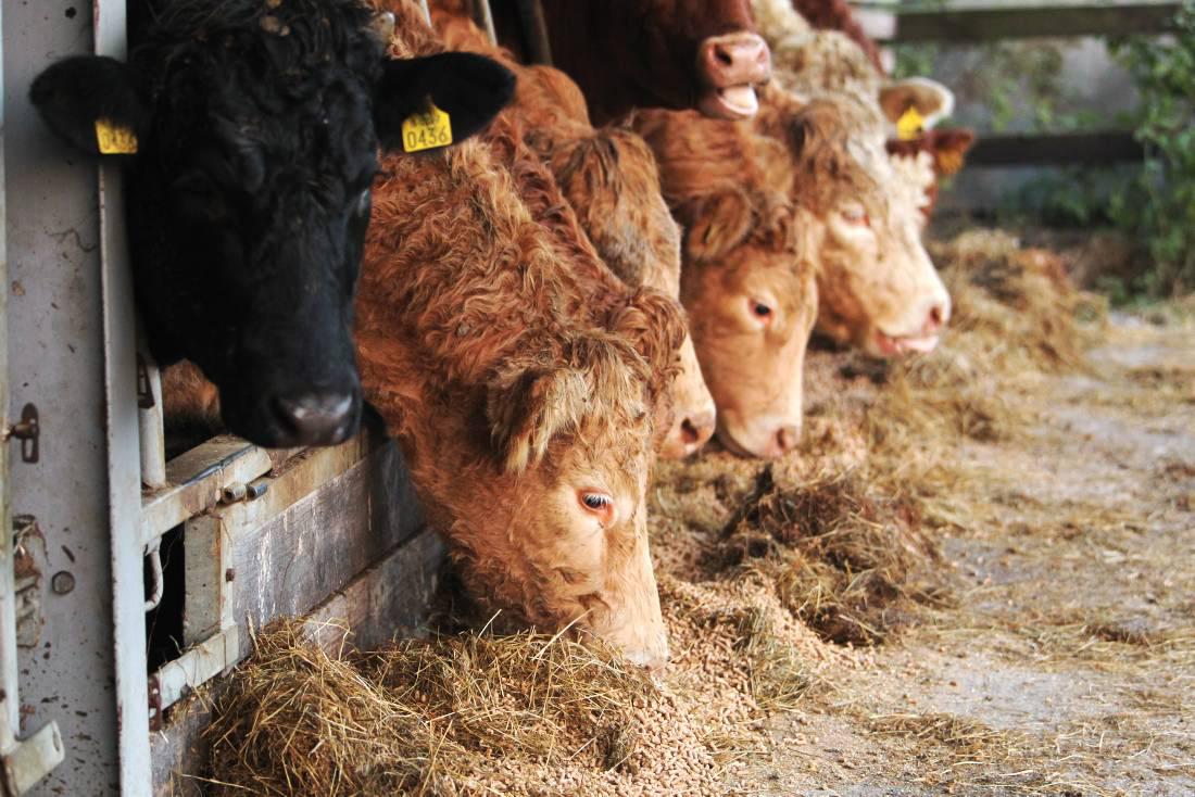 What can you buy for €13.7m?  