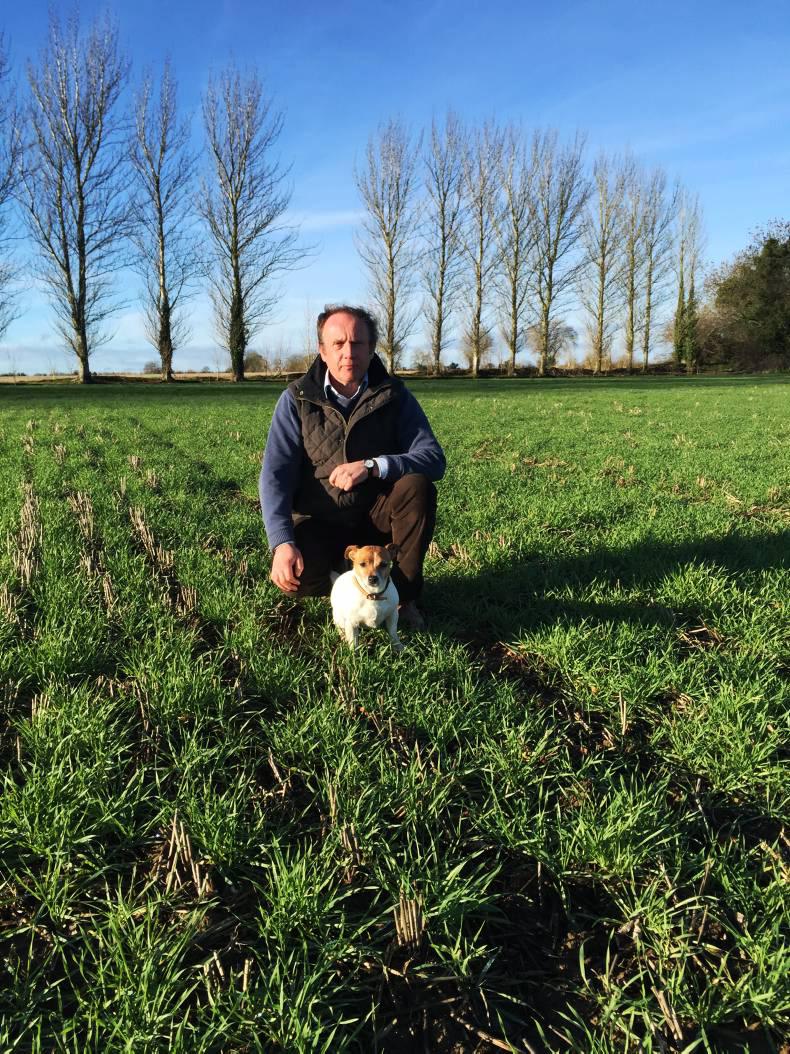 Farmer writes: oilseed rape proving to be problematic