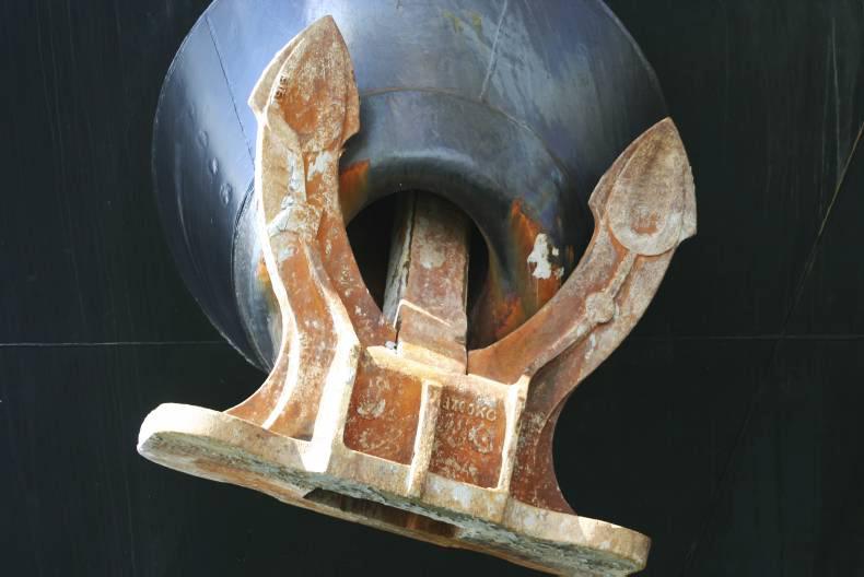 Three ships seeking approval for sending cattle abroad