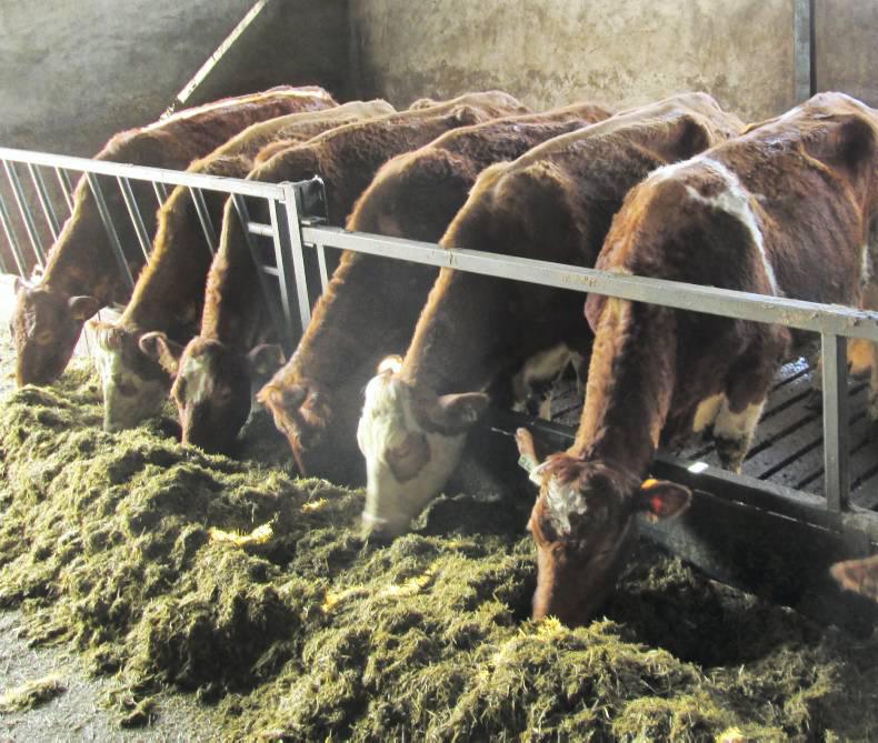 Northern Ireland news round-up