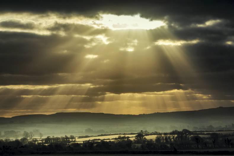 Irish Farmers Journal breakfast news: Friday 29 January