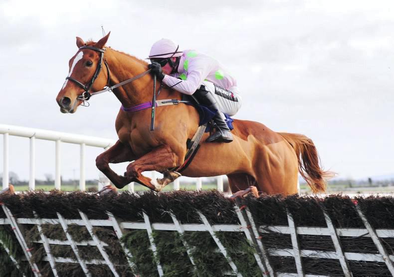 Limini continues Cheltenham charge