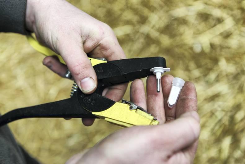 DARD selects lower-cost replacement for APHIS