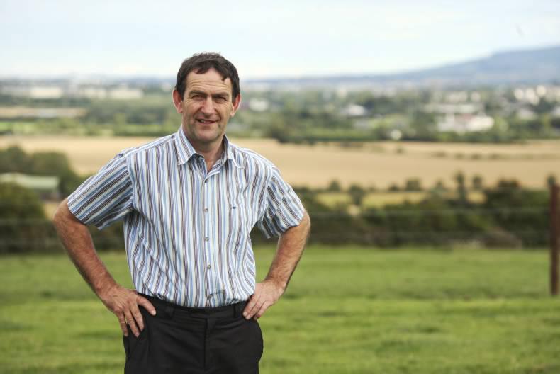 Farrell joins Renaghan in race for IFA deputy president 