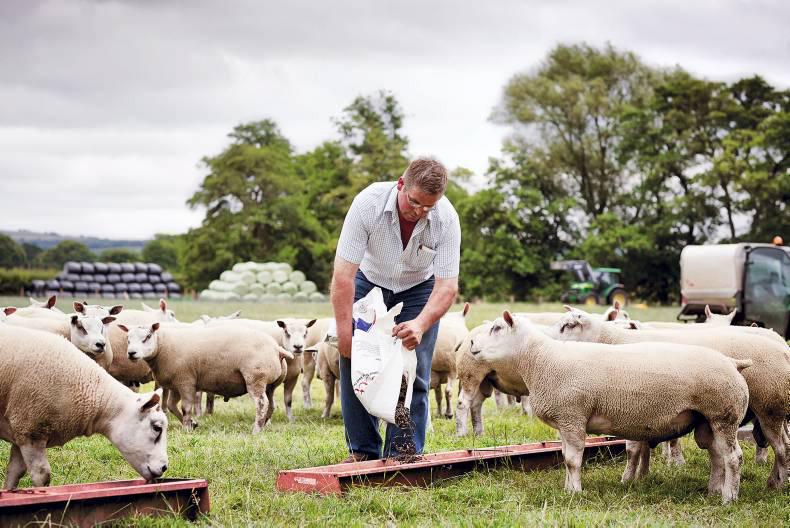 AB Agri acquire Danish animal nutrition business