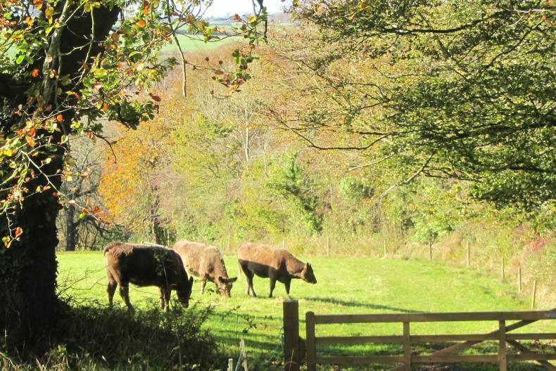 Farmer writes: politicians and the environment