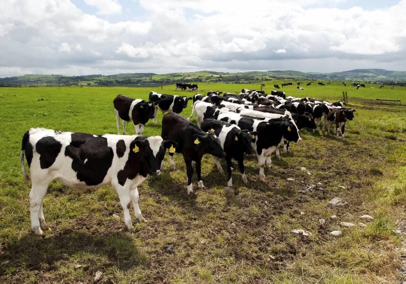 Cashflow Challenge – January 2016 the most important month