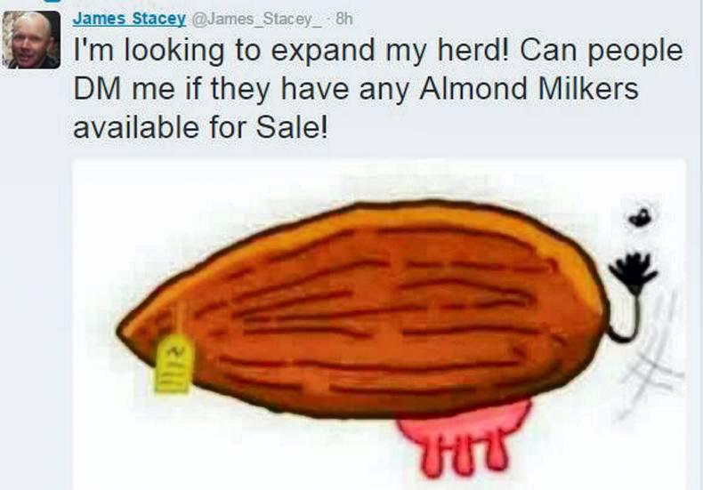 Anyone have almond milkers?   
