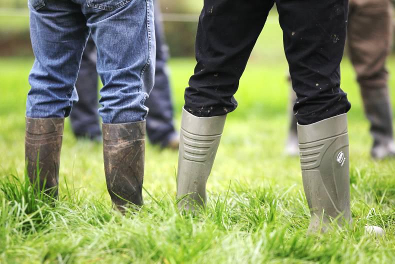 Department of Agriculutre filling 200 positions this year                       