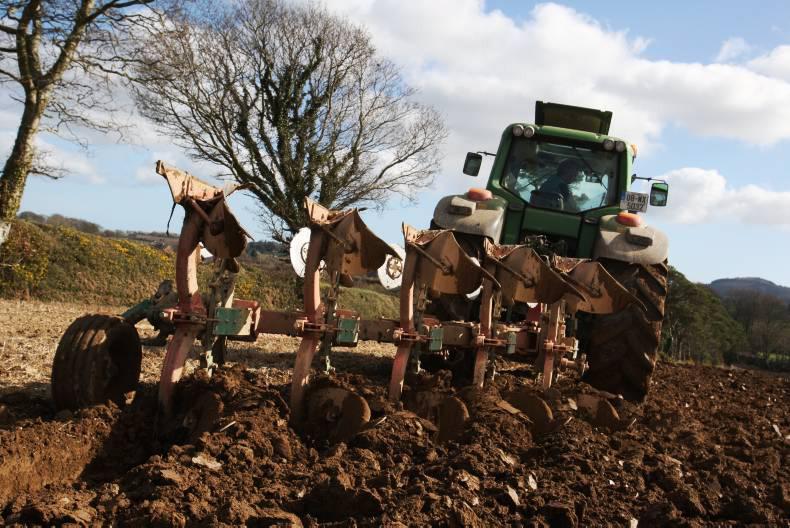 General election 2016: Child of junior ag minister a safe bet in Wexford