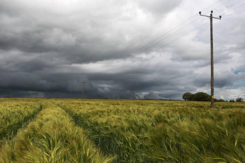 'What's a farmer's life worth?' asks Charlie Hebdo in heartfelt editorial