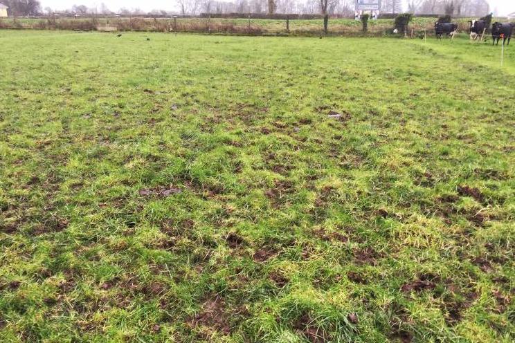 Monday management: how much damage is too much damage?